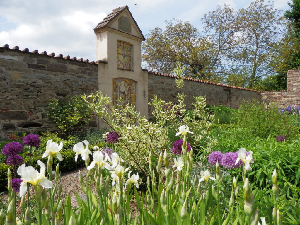 Blühender Garten vor einer Steinmauer im Frühling